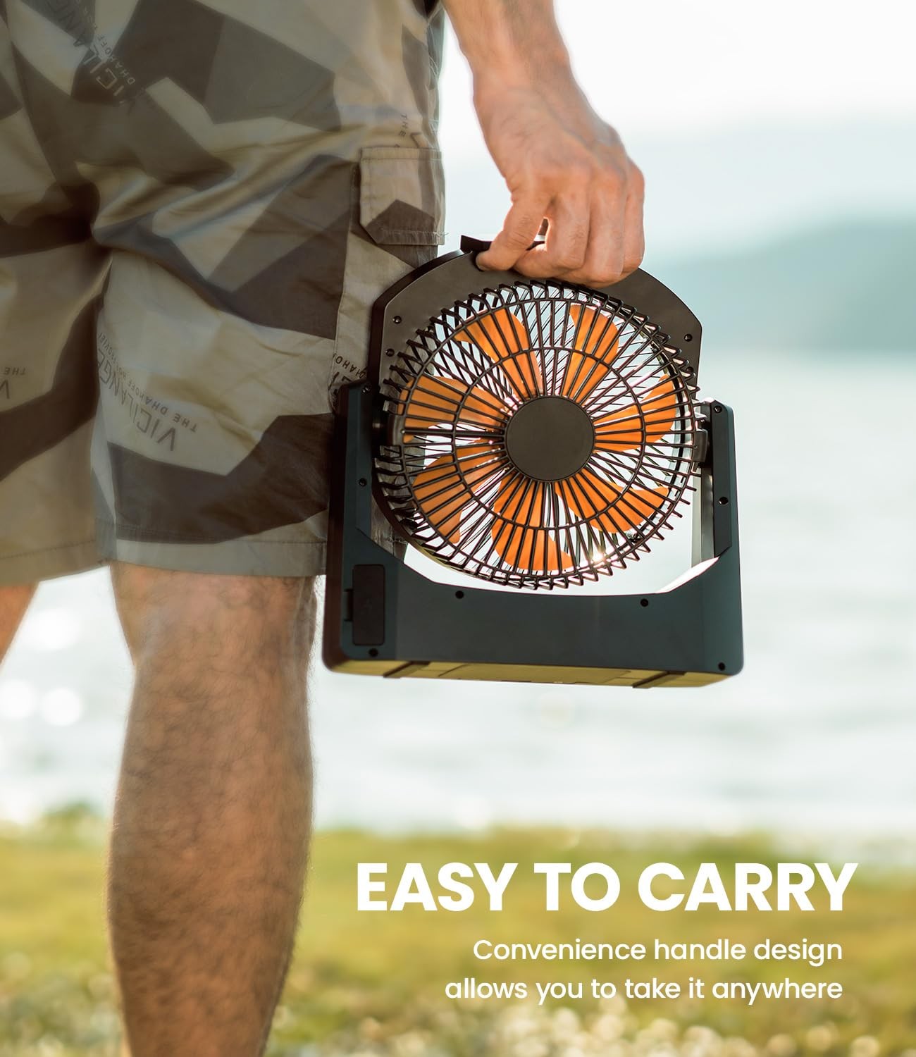 Camping Fan with LED Lantern, 8 Inch D-Cell Battery Operated Desk Fan with Timer