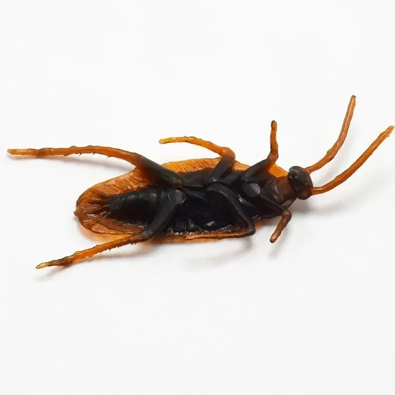 10 Prank Cockroaches Realistic Cock Roach Rubber Fake Creepy Bugs Gag Toy Joke