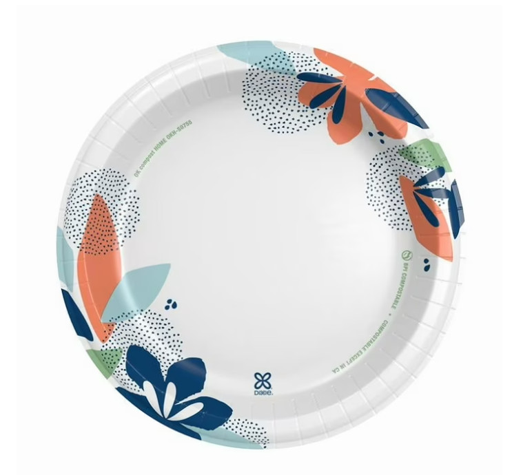 Dixie Everyday Disposable Paper Plates, 10″, Multi-Color, 210 Count