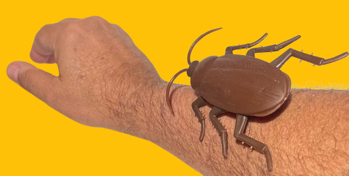 Funny WALKING COCKROACH Jumbo Roach Sticks & Crawls Down Wall Prank Joke Toy Bug