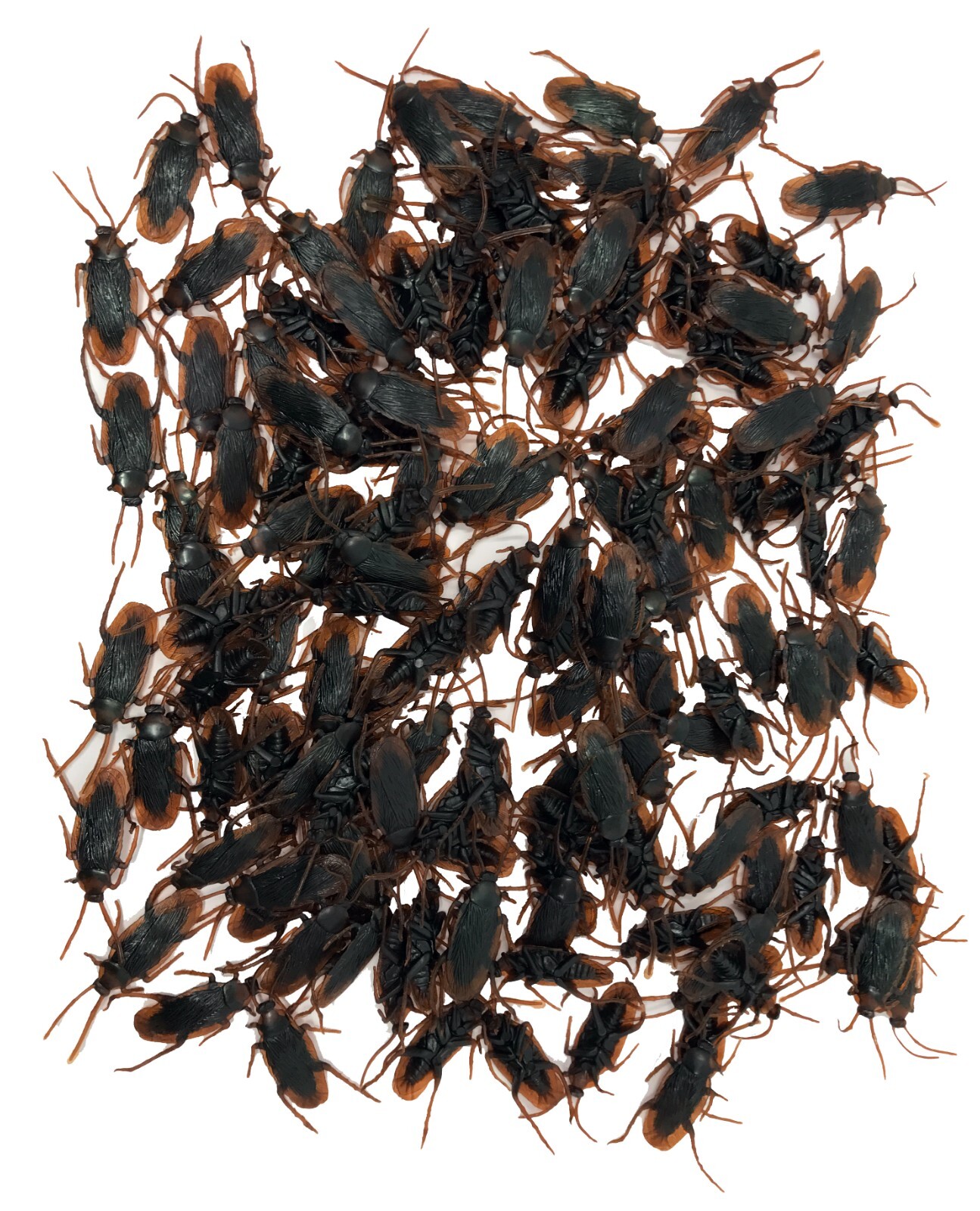 144 Fake Cockroaches-Real Looking Gag Gift Prank-Gross Creepy Freak Your FRIENDS