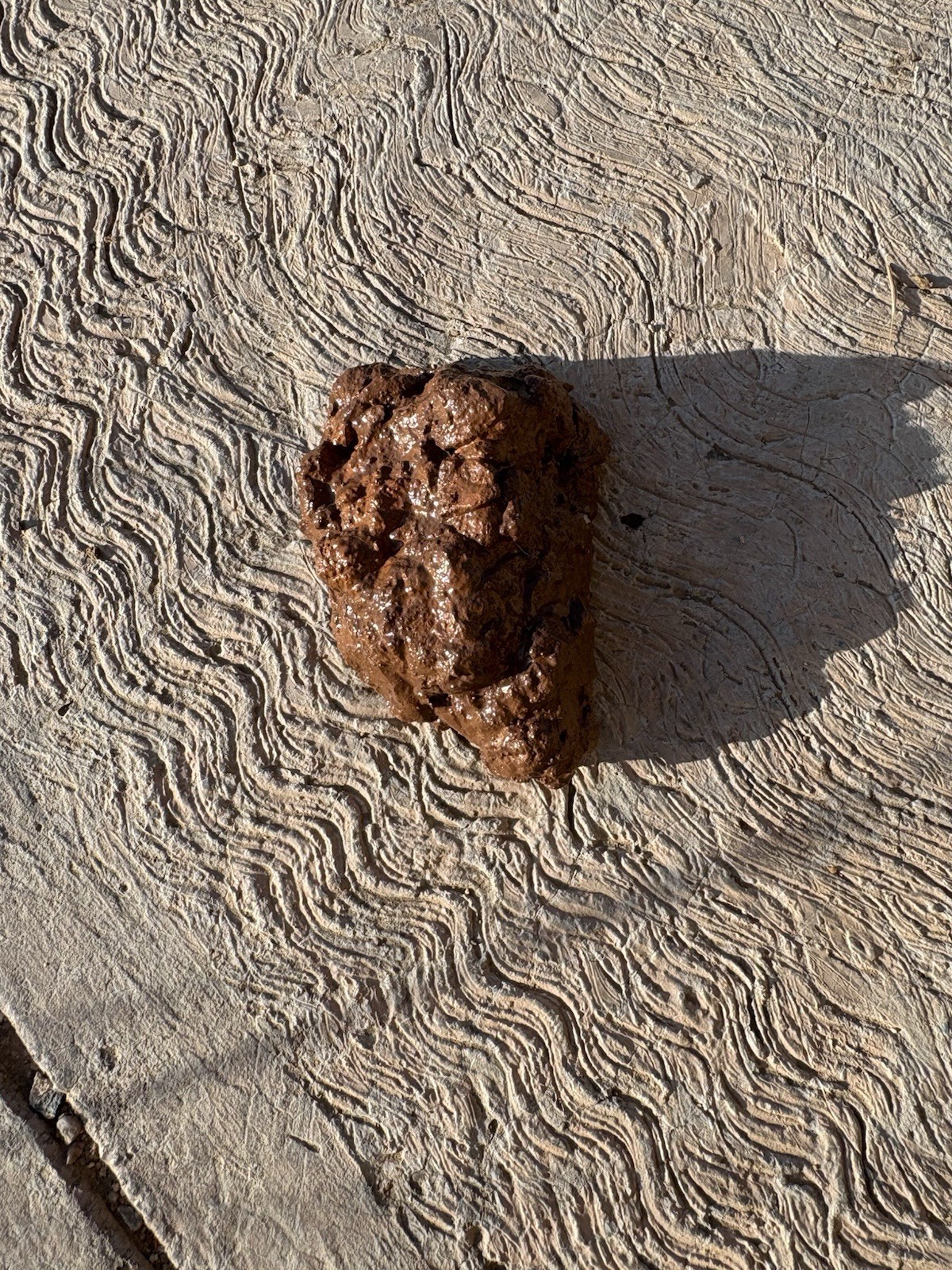 Realistic Fake Poop Concrete Prank Gift – Handmade Custom Joke Gag Turd Novelty