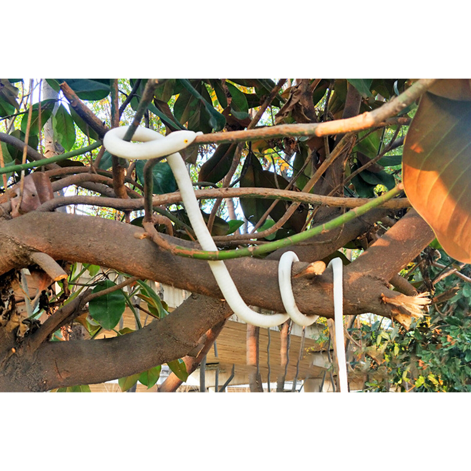 32″/48″/56″ Fake Realistic Snake Lifelike Scary Rubber Toy Prank Party Joke Prop