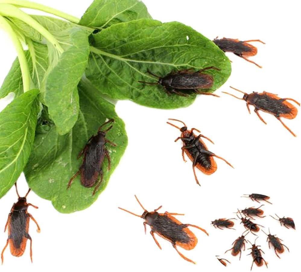 Perfect Prank Joke – 10pcs Realistic Rubber Cockroach Toys for All Ages