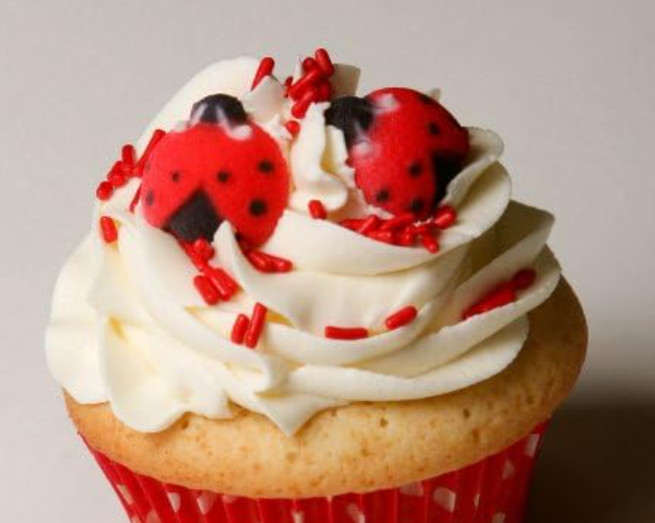 Oasis Supply Set of 12 Edible Sugar Ladybug Toppers for Cakes or Cupcakes