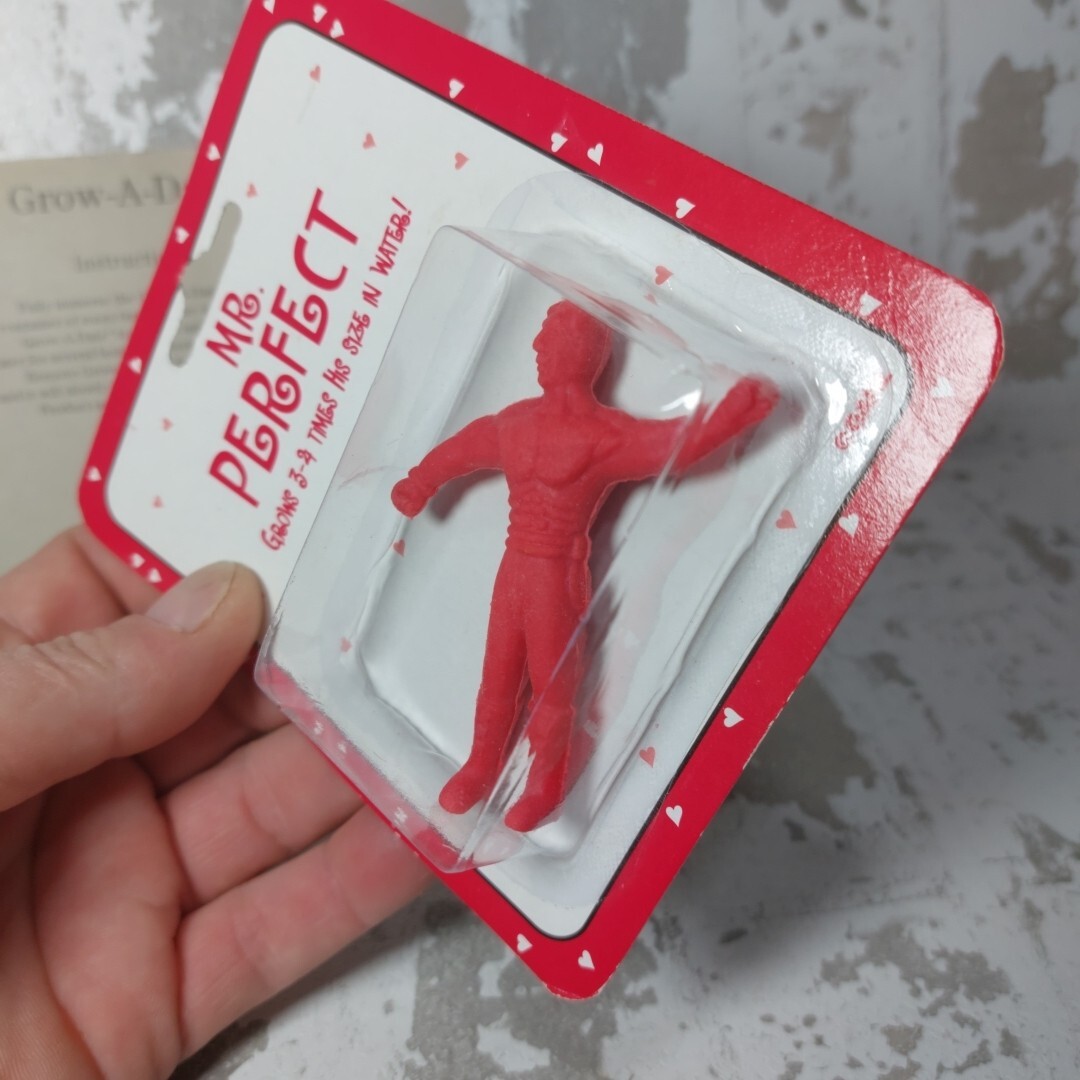 GANZ Grow A Boyfriend/Grow A Date in Water Vintage New Kids/Girls Toy Sealed