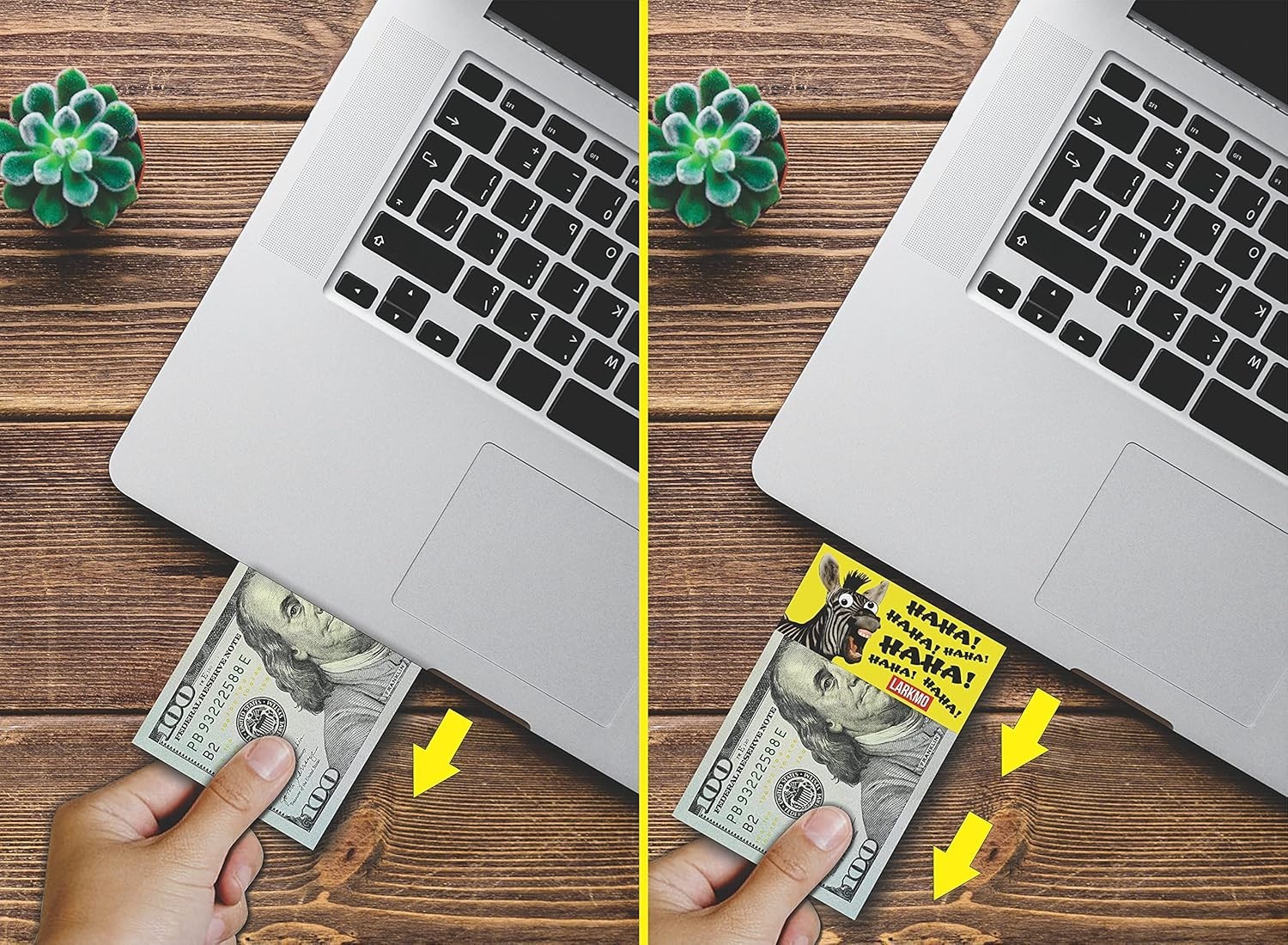 The Pranking Zebra Funny $100 Gag, Realistic One Hundred Dollar Bill Joke Off…