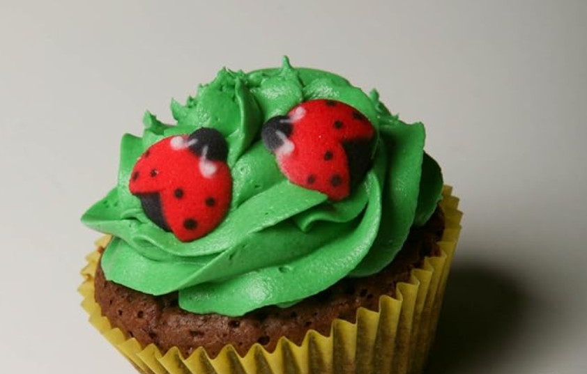 Oasis Supply Set of 24 Edible Sugar Ladybug Toppers for Cakes or Cupcakes