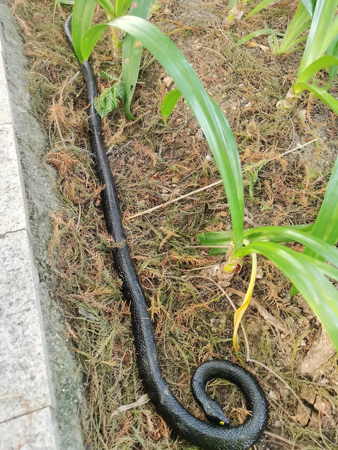 53″ Rubber Snake Realistic Fake Snakes Prank Toy to Keep Birds Away Scare |