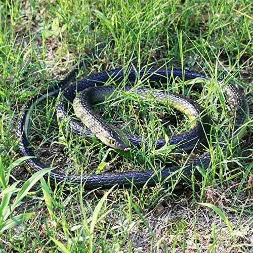 3 Pack Realistic Rubber Snakes for Garden Props Birds Squirrels Mice Scare Toy
