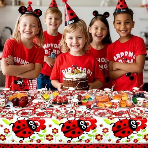 Ladybug Party Supplies – Ladybug Party Tableware – Dinner Plates Desserts