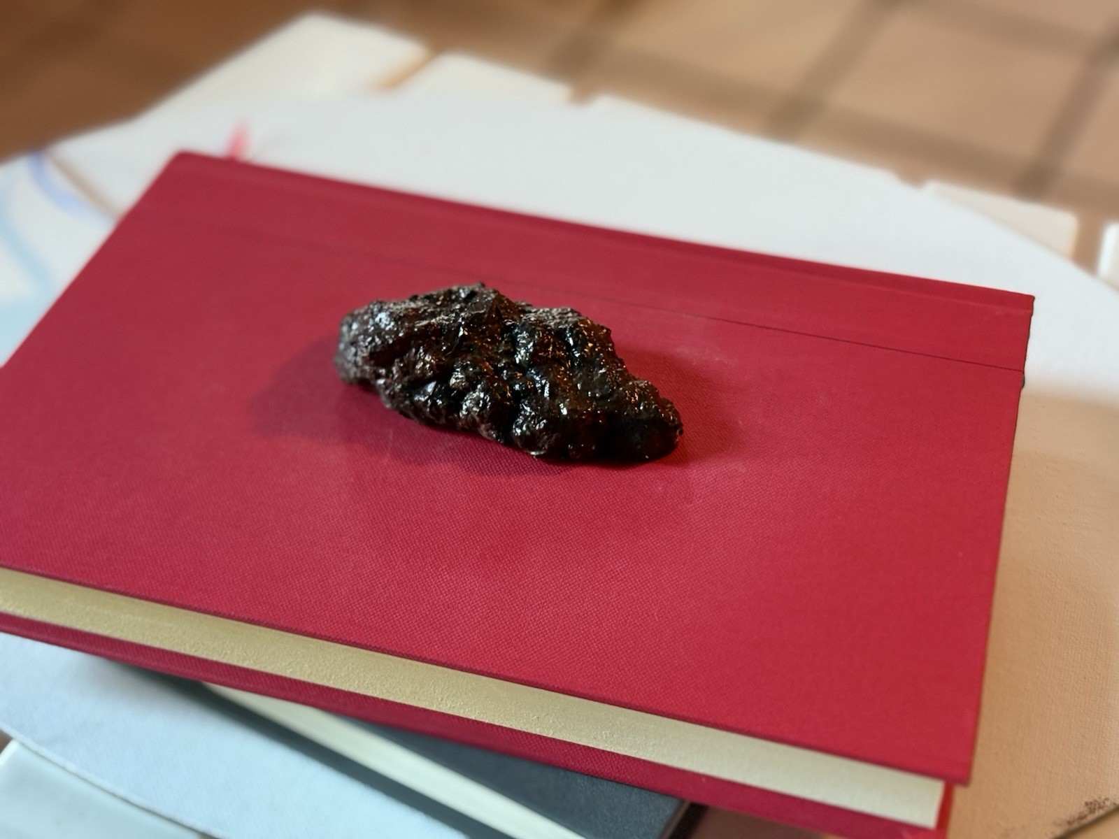 Realistic Fake Poop Concrete Prank Gift – Handmade Custom Joke Gag Turd Novelty