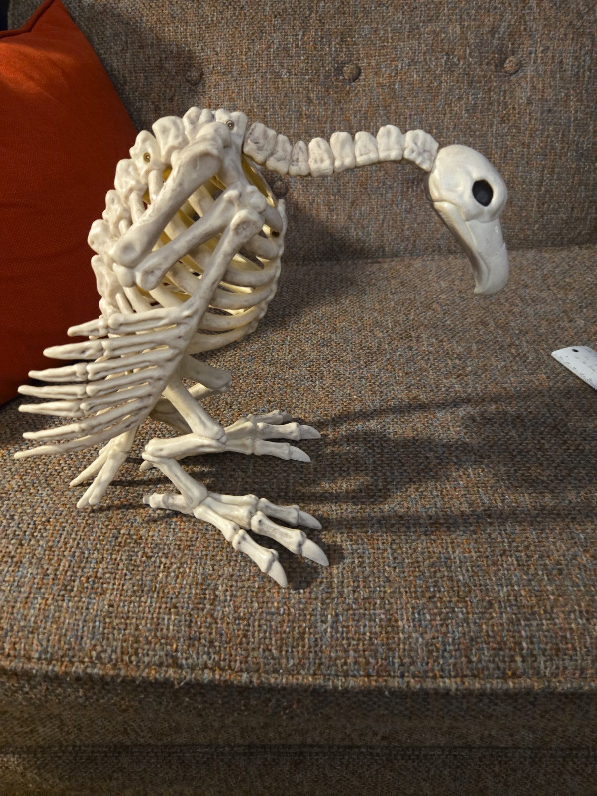 Halloween Skeleton VULTURE Buzzard Bird Animal Decorations crazy bones ,garden