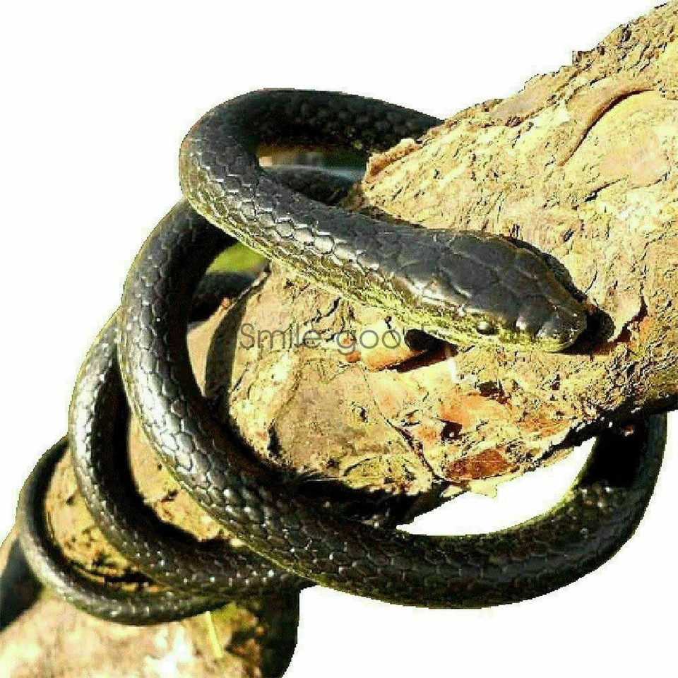 1/2X Realistic Fake Snake 50″ Lifelike Scary Rubber Scare Toy Prank Party Garden