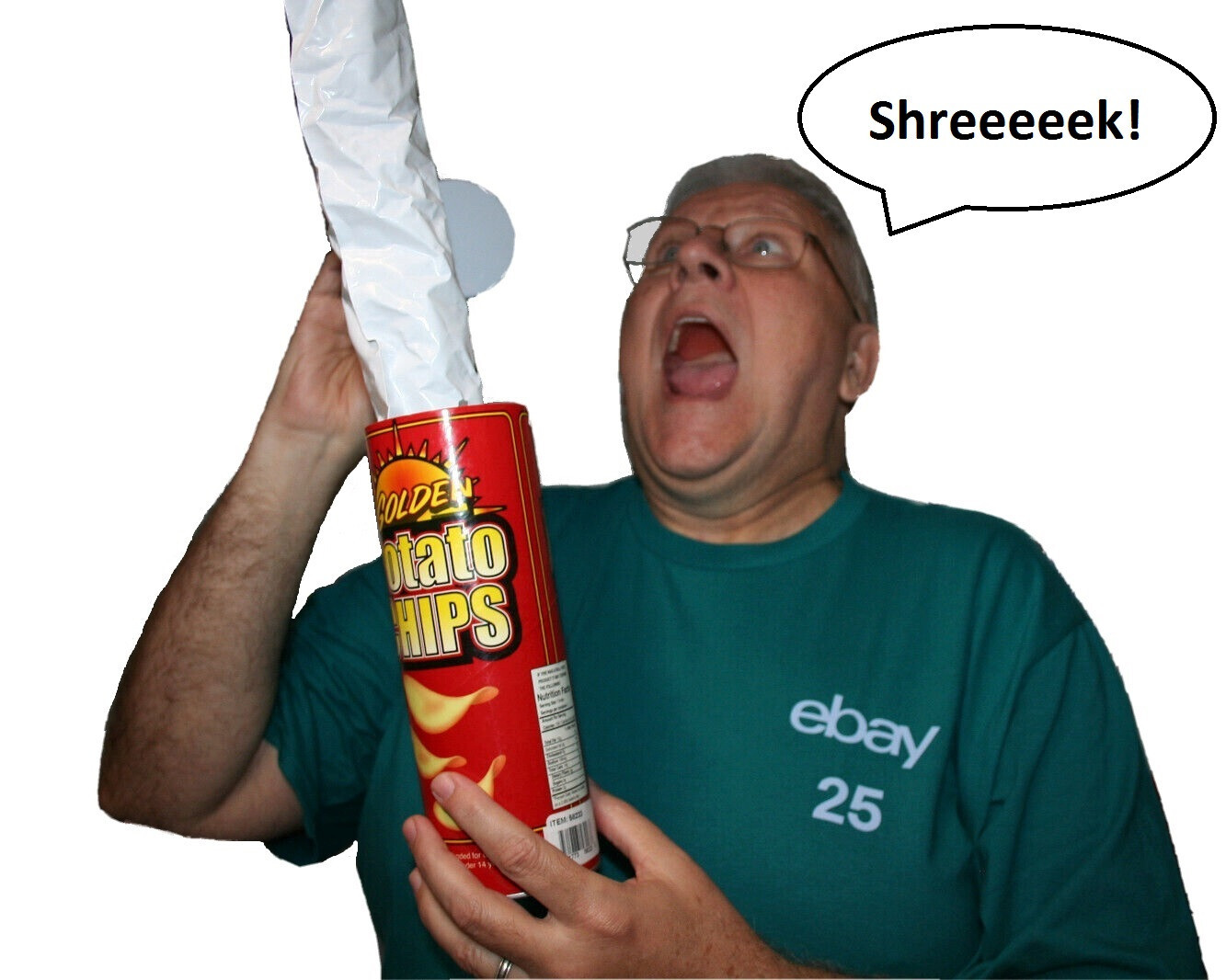 Potato Chip Snake Can spring gag gift funny clown party joke parade prop novelty