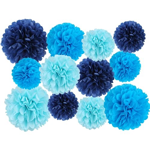 12 Pcs Tissue Pom Poms Kit, Tissue Paper Flowers for Birthday, Boy Blue Mix