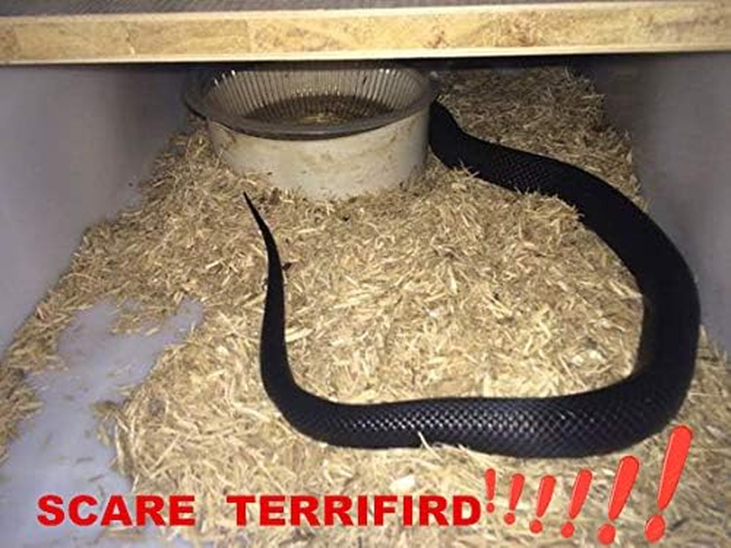 53″ Rubber Snake Realistic Fake Snakes Prank Toy to Keep Birds Away Scare |