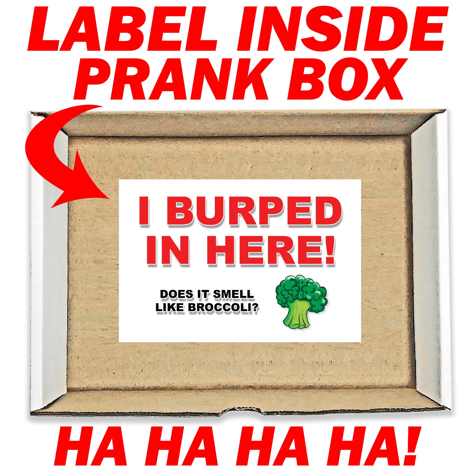 I Burped in Here Prank Mail Sent Anonymously!