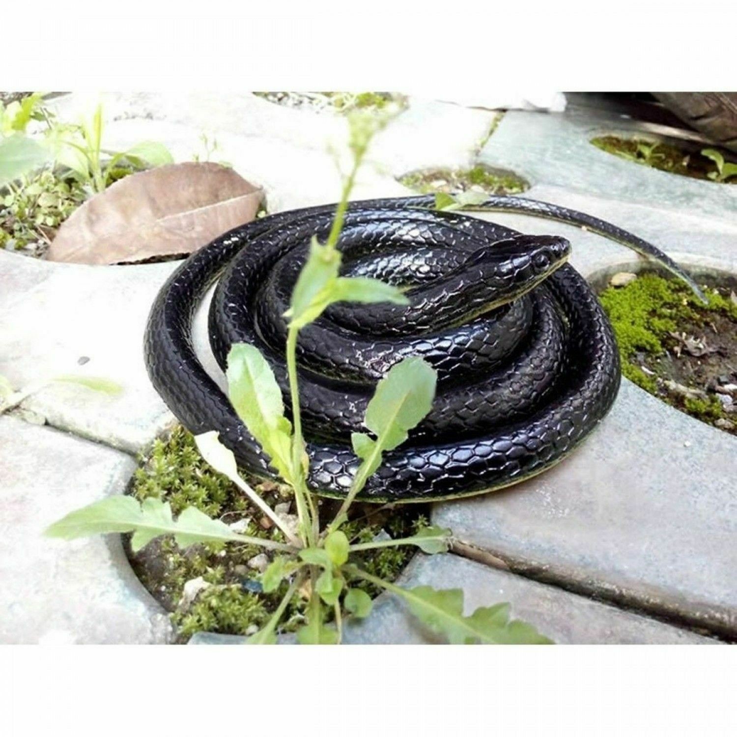 Realistic Fake Snake Rubber Toy Scary Prank Party Joke for Garden USA Stock