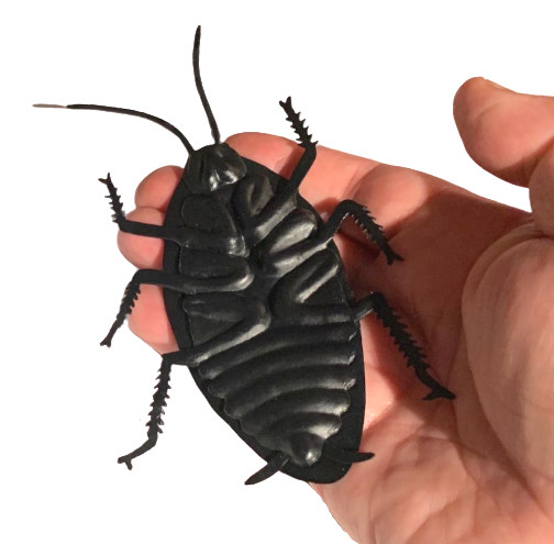 JUMBO COCKROACH 6″ Giant Rubber Fake Bug Prank Joke Gag Funny Roach Halloween