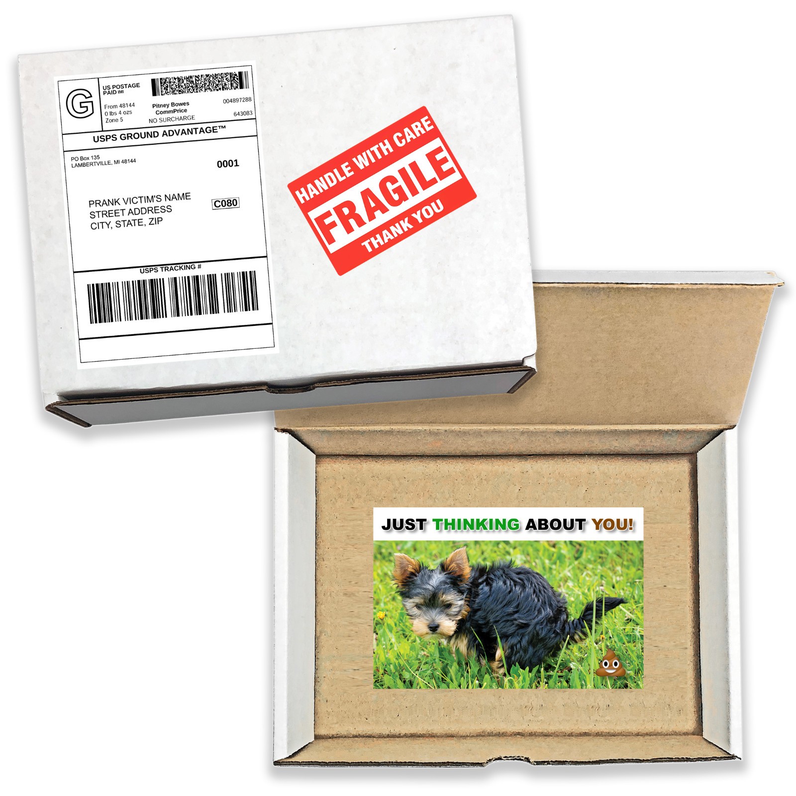 Just Thinking About You Dog Poo Prank Mail Sent Anonymously!