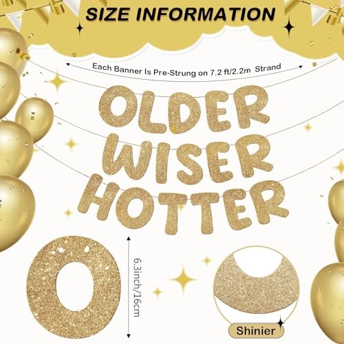 Set of 3 Pre Strung Older Wiser Hotter Glitter Banner Funny Champaign Gold