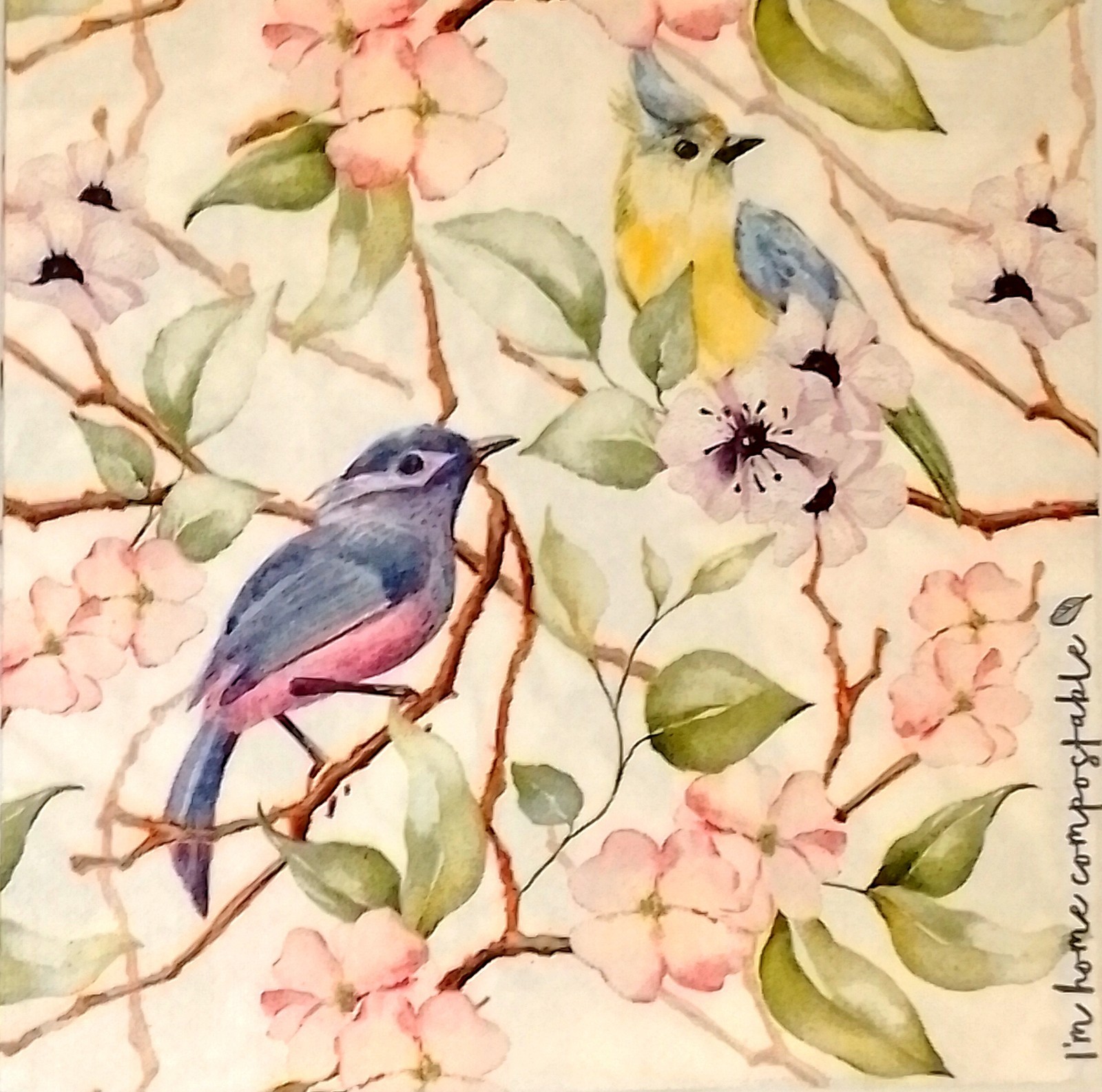 3-PLY (Pack of 4) Animal Birds Paper Decoupage Napkin 33cm x 33cm Serviettes