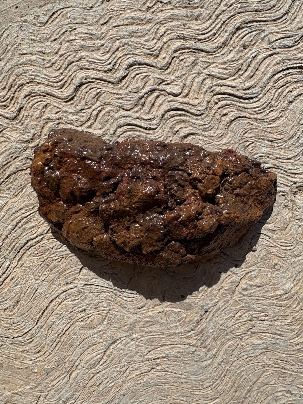Realistic Fake Poop Concrete Prank Gift – Handmade Custom Joke Gag Turd Novelty