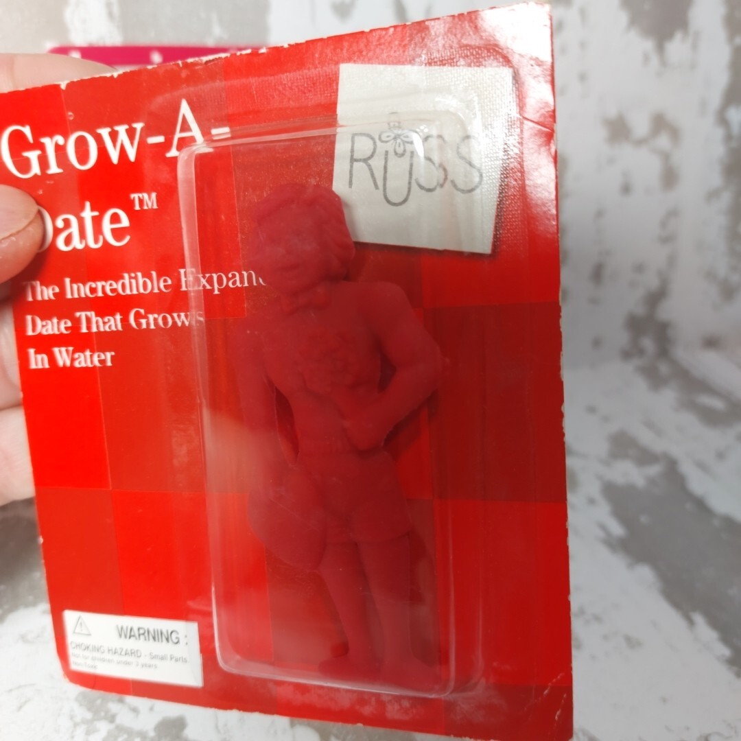 GANZ Grow A Boyfriend/Grow A Date in Water Vintage New Kids/Girls Toy Sealed