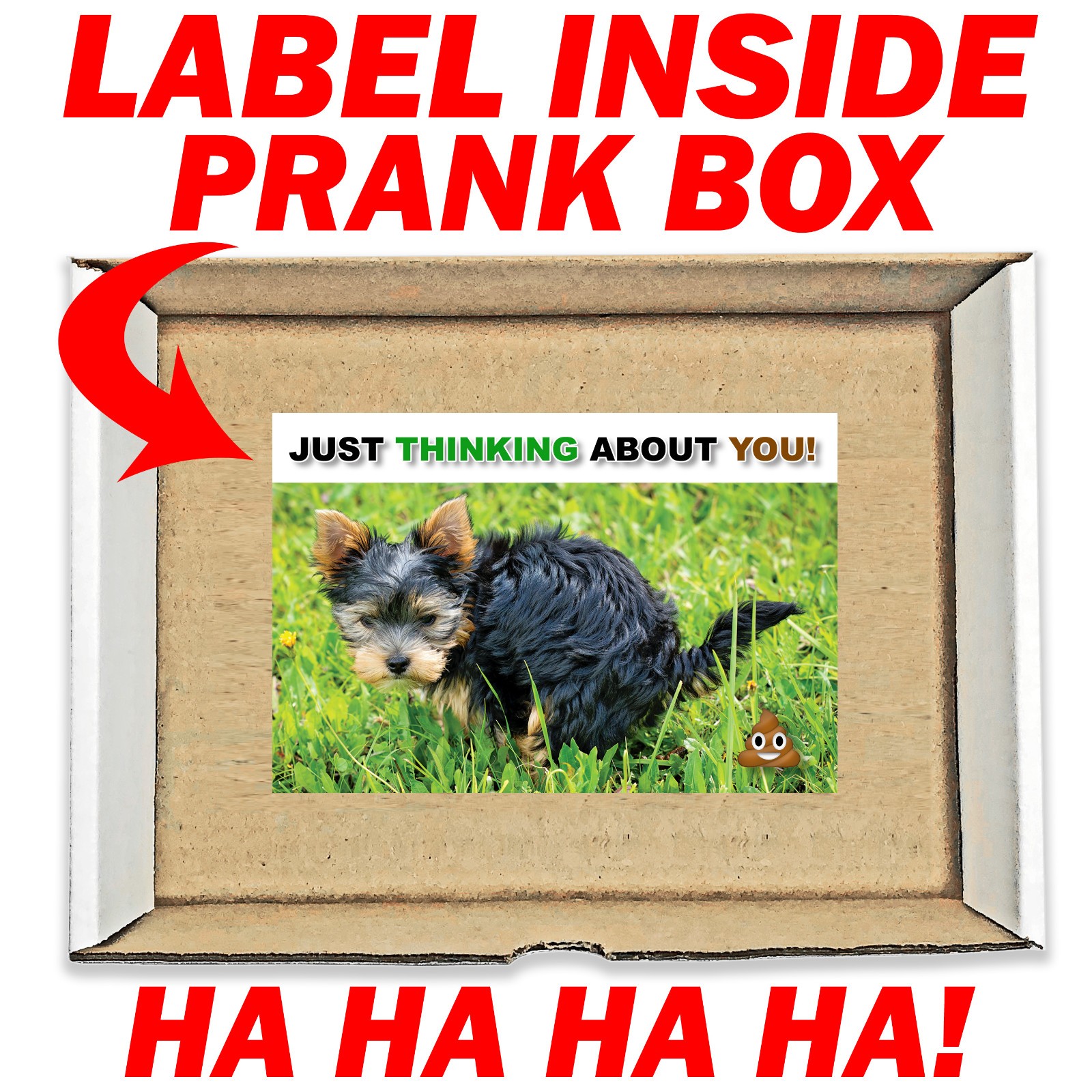 Just Thinking About You Dog Poo Prank Mail Sent Anonymously!