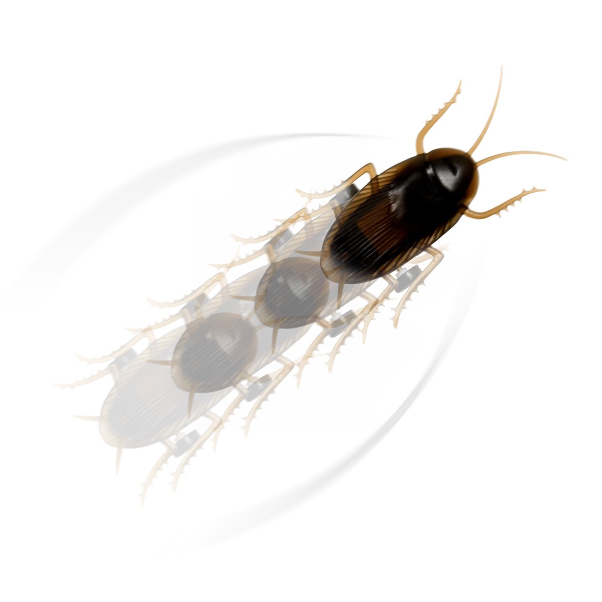 Funny Running Cockroach Practical Joke Pest Novelty Fake Roach Fun Prank Bug Gag