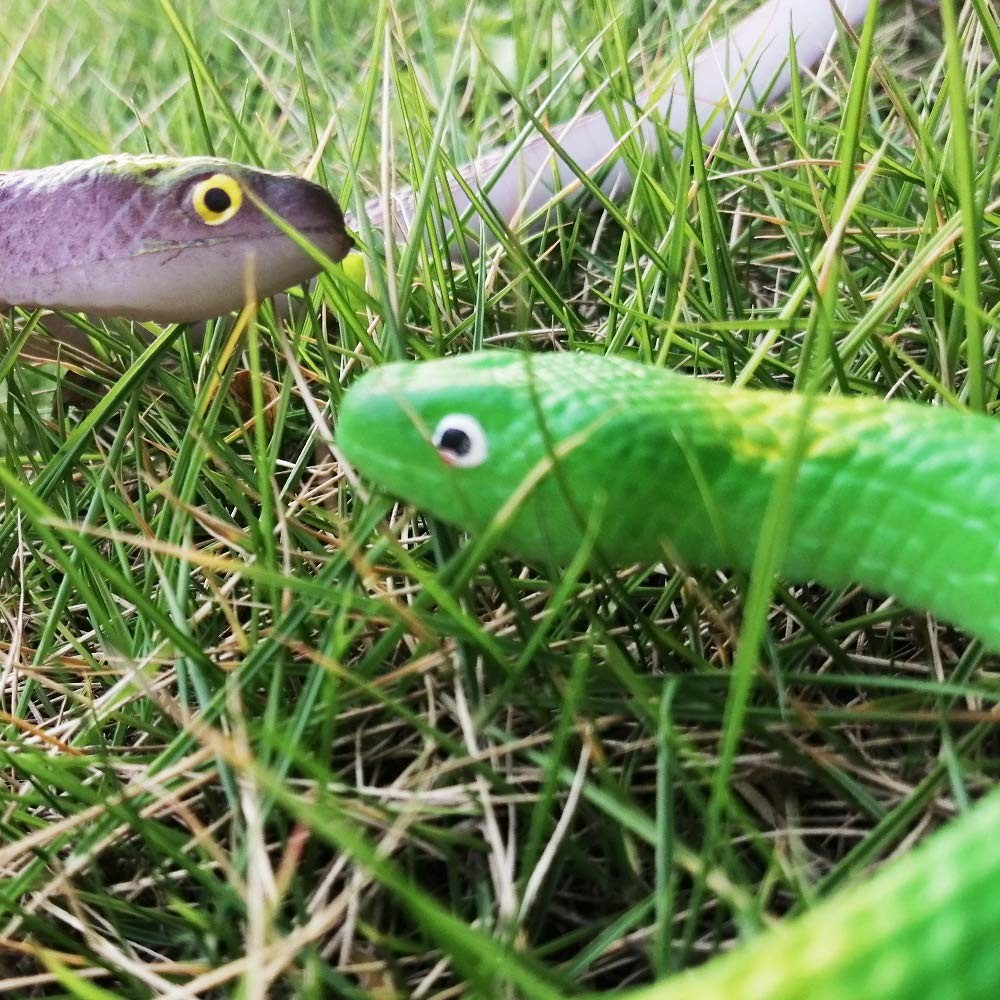Rubber Snakes to Keep Birds Away,4 Pieces 29 Inch Realistic Rubber Snakes, Pr…