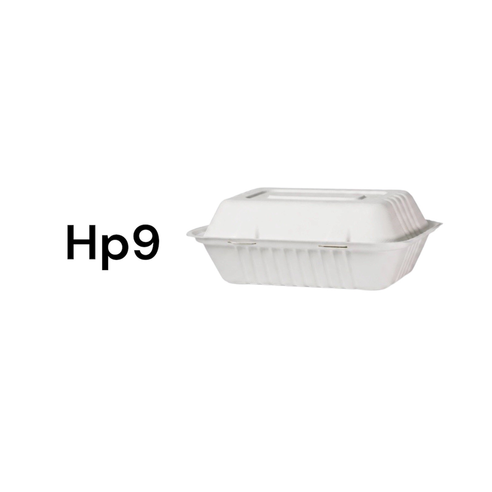 200 xBagasse Clamshell Food Containers Takeaway Boxes HP10 HP9 HP6 MP7 Eco