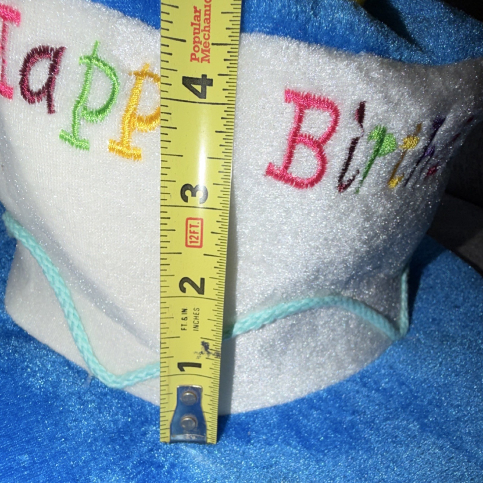 Birthday Cake with Candles Hat, Unisex, Adult, Gag Gift, Badge included.