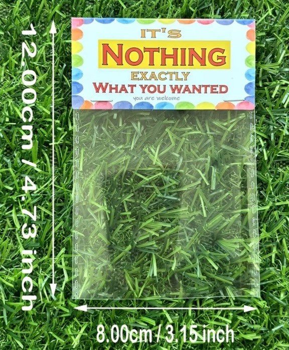 Bag of Nothing Gift Prank, Funny Gag Gifts for Him Her Just What You Wanted