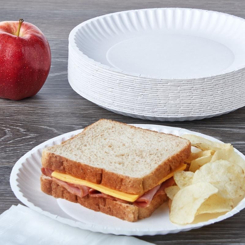 Disposable Microwave Safe Paper Plates 9in Durable Leak Resistant 300ct New