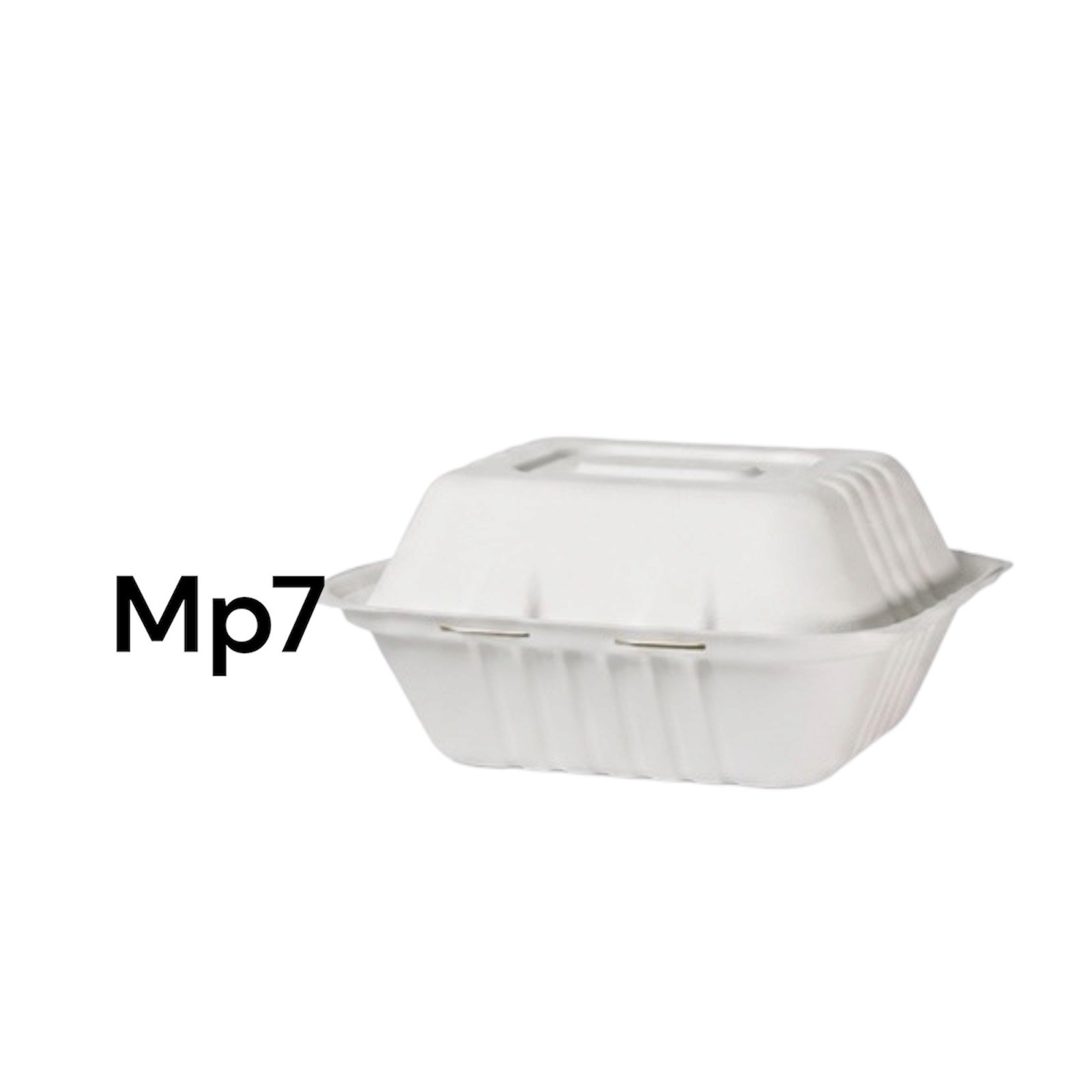 200 xBagasse Clamshell Food Containers Takeaway Boxes HP10 HP9 HP6 MP7 Eco