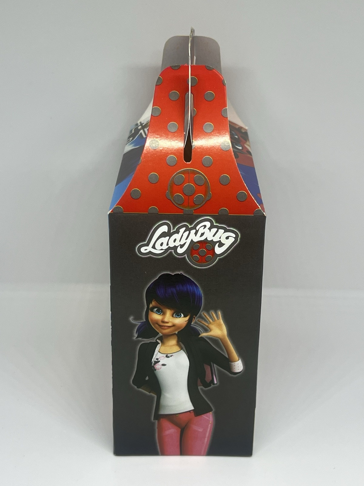 10 ct. Pack – LADYBUG Candy Boxes / Paquete con 10 Cajas de LADYBUG