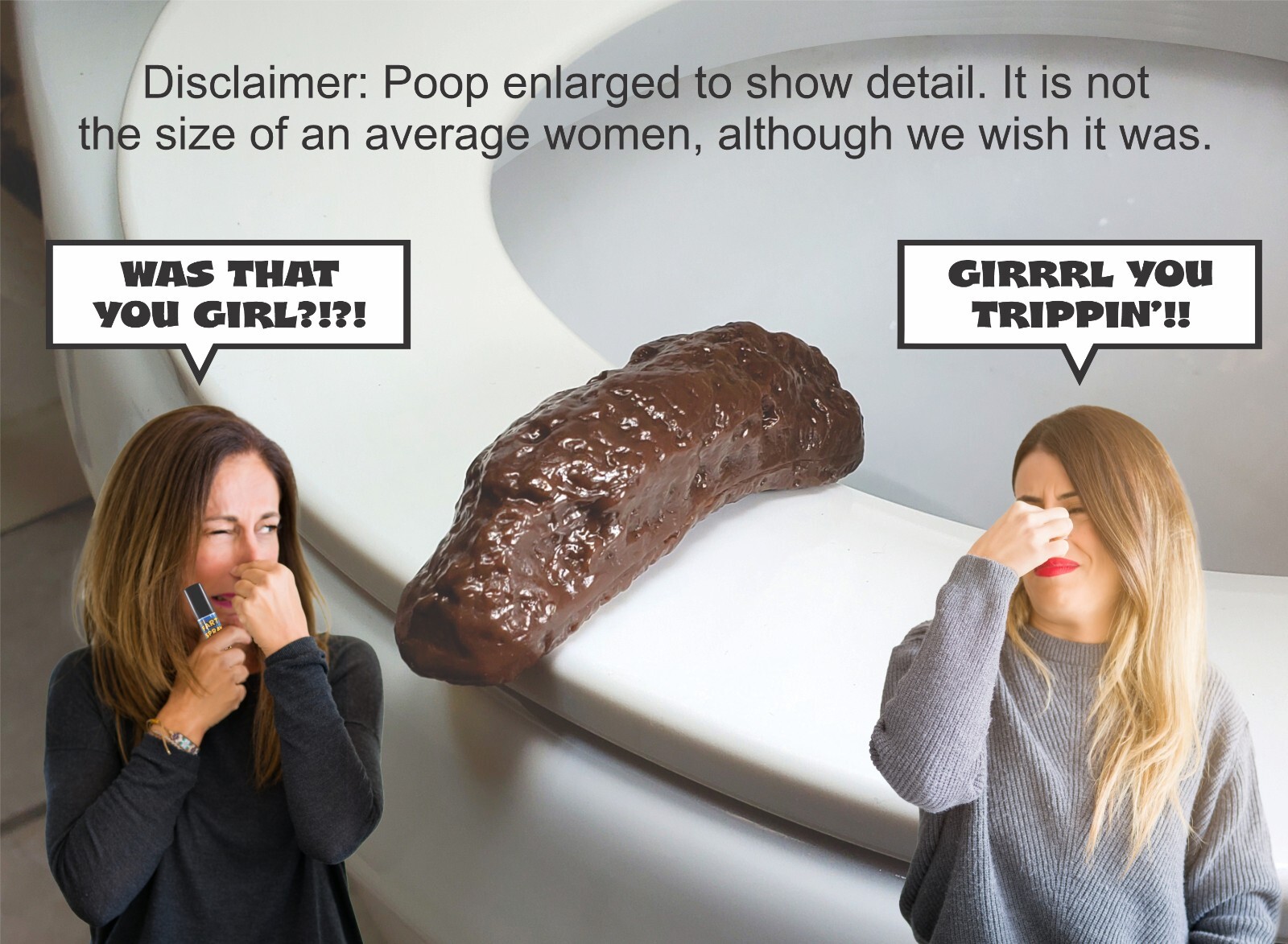 Party Pooper fake poop toilet bathroom prank joke gag home office work