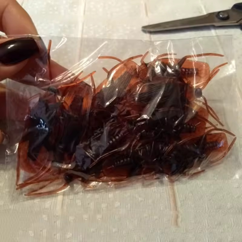 20PCS Realistic Fake Cockroach Toys – Horror Prank Props for Halloween Decor