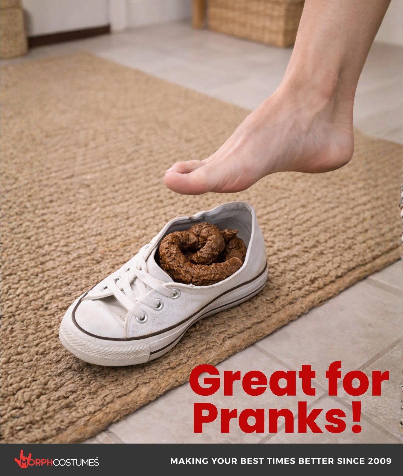 Realistic Fake Dog Poop – Hilarious Prank for April Fools & Funny Gags