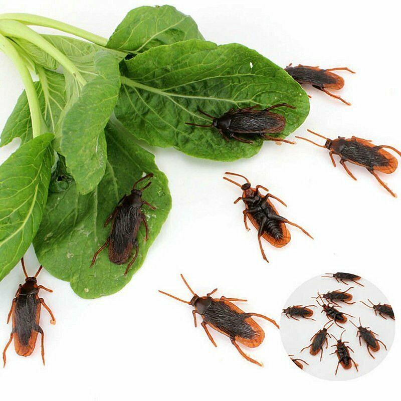 20PCS Realistic Fake Cockroach Toys – Horror Prank Props for Halloween Decor