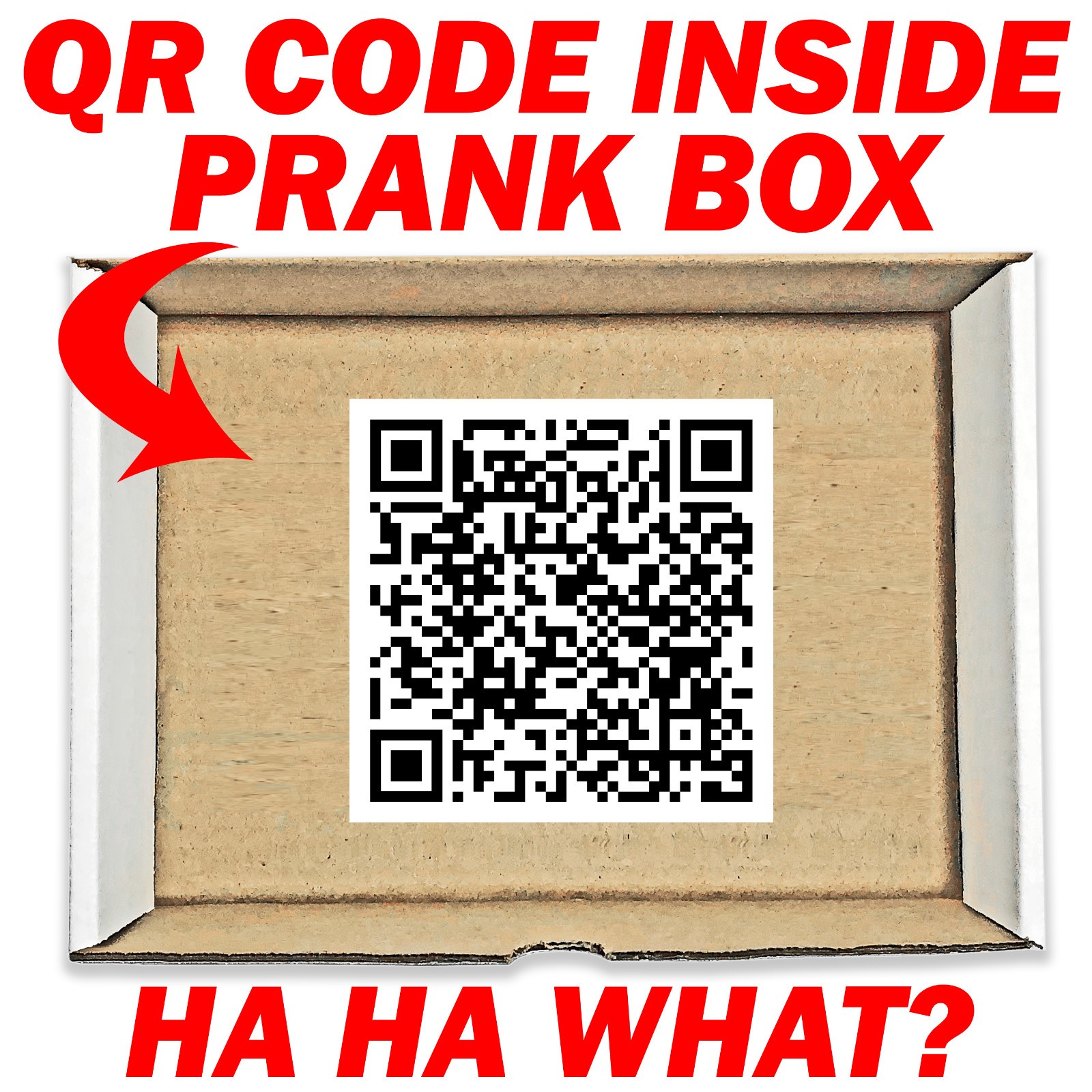 QR Code Monkey Middle Finger Surprise Prank Mail Sent Anonymously!