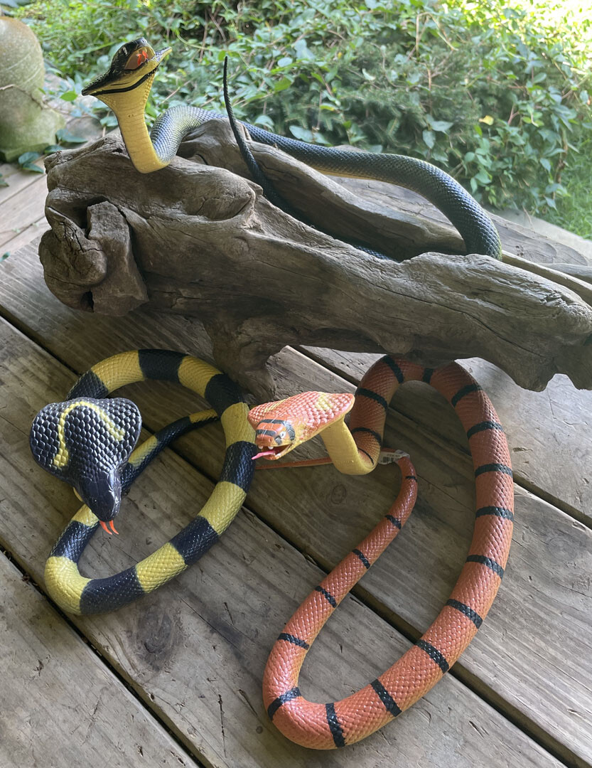 40″ Cobra Rubber Snake Replica – Choice of 3 Varieties