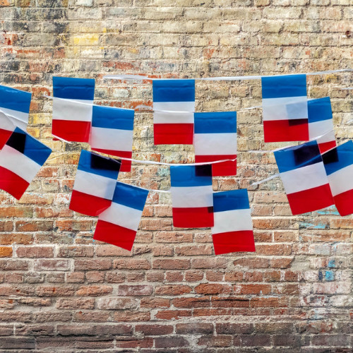French Flag Bunting 10m PVC Waterproof 20 Flags Indoor Outdoor Party Garden