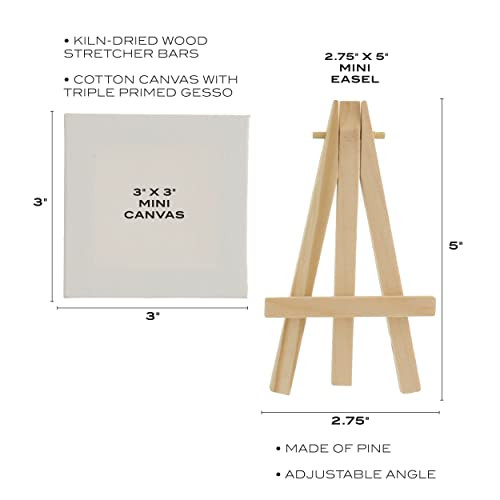 Party Pack Mini Canvas with Easel, 4 Pieces, None