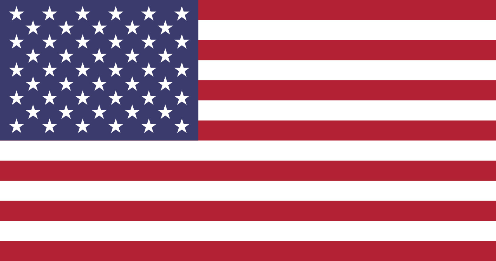 USA & US State Friendship Flag Bunting – 20m With 56 Flags – All 50 States