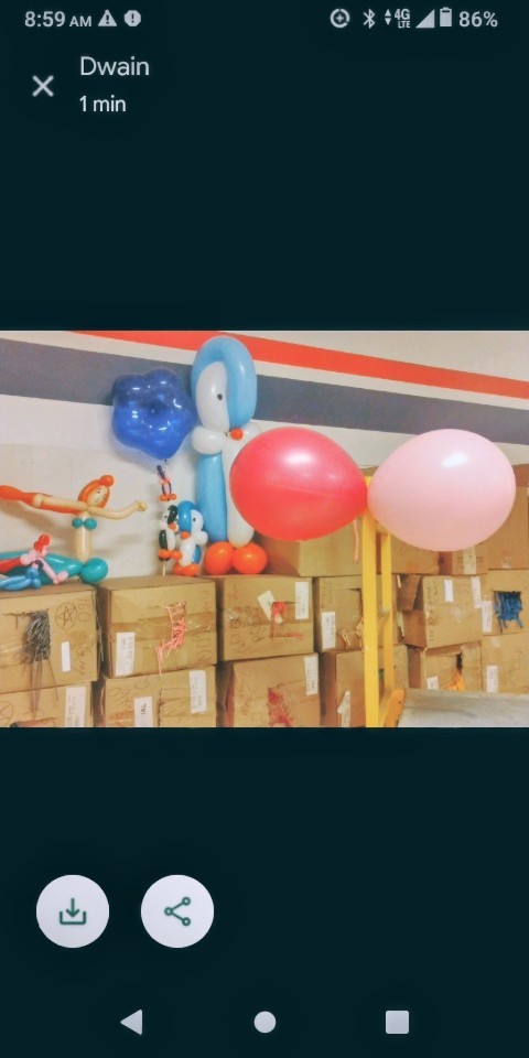 Qualatex Pink & Blue 16″(50) Great 4 Decorating 2nd’s some have Slight Color Run