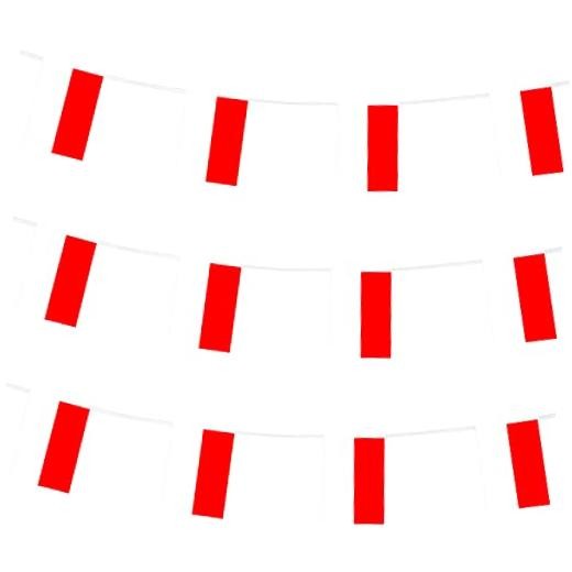 ZXvZYT Poles Flag Banner String,Small Mini Pennant flags,For Grand Poland