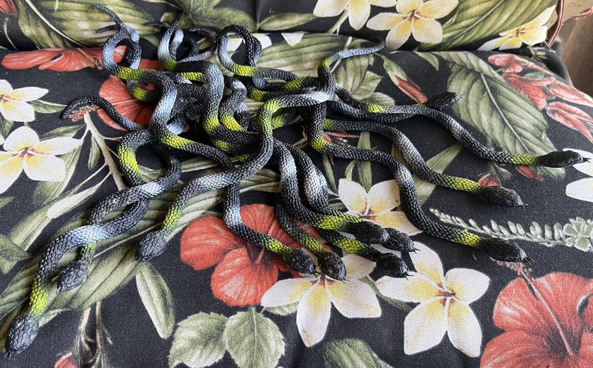 Toy Snakes (12) – Flat – Medusa?